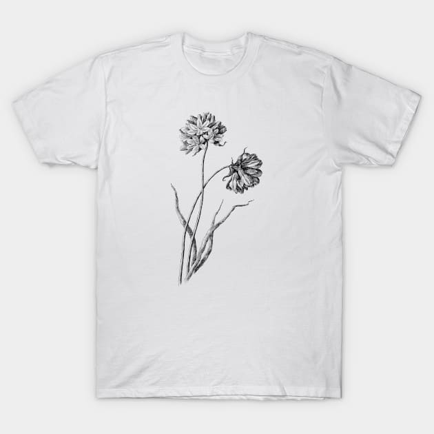 Wildflower Black and White Botanical Illustration T-Shirt by Biophilia